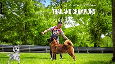 โมจิ แชมป์ประเทศไทย
