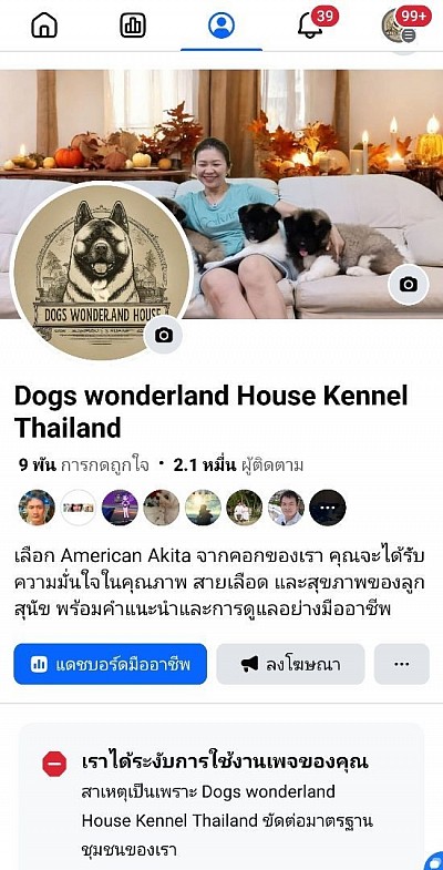 เป็นเพ็จเดียวกันกับ Dogs wonderland House Kennel Thailand