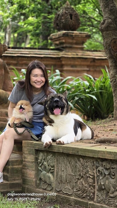 Shiro Thailand Champion